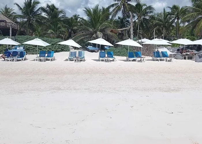 Playa Palmas Glamping Tulum