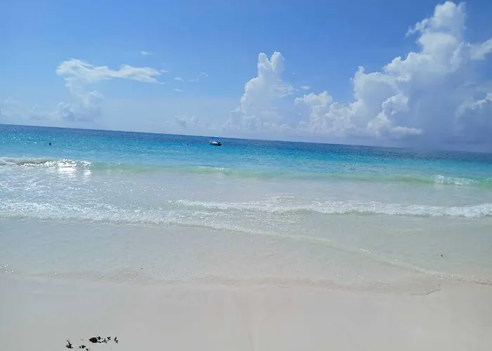 Playa Palmas Glamping Tulum
